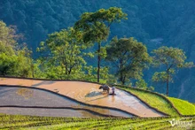 Les populations des minorités ethniques vivant dans les régions montagneuses continuent, avec une admirable persévérance, à préserver leurs coutumes, leurs traditions et leur mode de vie ancestral, malgré le rythme du développement contemporain. Photo : vietnamnet.vn 