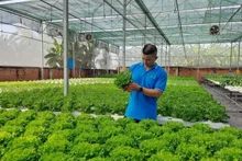 Grâce à cette combinaison entre transformation numérique et agriculture circulaire, la coopérative Tuan Ngoc devient un modèle exemplaire de production agricole durable à Hô Chi Minh-Ville. Photo : NDEL.