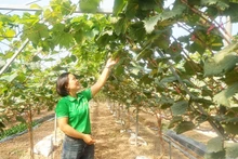 Pham Thi Huong, fondatrice de la coopérative agricole biologique Thai Binh. Photo : https://vnbusiness.vn/