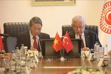 Le vice-président de l’AN Nguyên Duc Hai et le vice-président de la Grande Assemblée nationale de Turquie, Celal Adan. Photo: VNA.