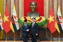 Le président Luong Cuong et le sultan de Brunei Darussalam, Haji Hassanal Bolkiah. Photo : NDEL