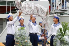 De jeunes soldats auprès des pêchers et des kumquatiers du printemps, accueillant le Têt 2026. Photo : NDEL.