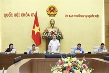 Le président de l’Assemblée nationale, Tran Thanh Man, s'exprime lors de la réunion. Photo : VNA.