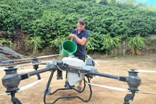 Pham Van Vuong a réalisé d'importantes économies sur ses coûts de main-d'œuvre en utilisant des drones pour la culture du café. Photo : nld.com.vn