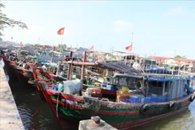 Bateaux de pêche mouillant dans un port de pêche de Hai Phong. Photo : VNA.