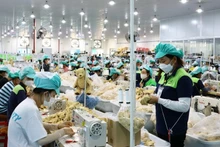 Le salaire minimum des travailleurs sous contrat augmentera également en vertu du décret n°293/2025/ND-CP. Photo d'illustration : VNA.