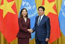 Le président Luong Cuong et Mme Pauline Tamesis, coordinatrice résidente des Nations Unies (ONU) au Vietnam. Photo : NDEL