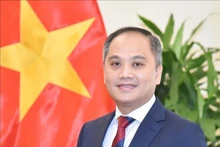 L'ambassadeur du Vietnam en Nouvelle-Zélande, Phan Minh Giang. Photo : VNA.