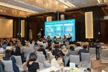 Aperçu de l'événement de réseautage d'affaires Inde-Vietnam dans le secteur pharmaceutique et des équipements médicaux. Photo : NDEL.