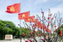 Un nouveau printemps s'annonce, qui débute avec le succès retentissant du XIVe Congrès national du Parti communiste du Vietnam. Photo : baoquocte.vn