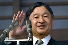L'empereur Naruhito du Japon. Photo : VNA.