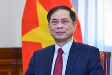 Le comité sera présidé par le vice-Premier ministre et ministre des Affaires étrangères, Bui Thanh Son. Photo : VGP.