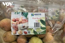 Des sacs de litchis vietnamiens frais sont vendus au supermarché Costco Lidcombe, à Sydney, en Australie. Photo : VOV.
