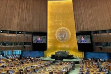 L’ambassadeur Dô Hung Viêt, représentant permanent du Vietnam auprès des Nations Unies, s’exprime lors de la Conférence internationale de haut niveau pour le règlement pacifique de la question de Palestine et la mise en œuvre de la solution à deux États. Photo : VNA