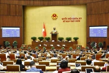 La XVe Assemblée nationale adopte la Loi sur les cadres et les fonctionnaires (modifiée). Photo : VNA.