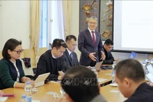 Le professeur Nguyên Xuân Thinh (Université TU Dortmund et président du Réseau d'Innovation Vietnam-Allemagne - VGI), s'exprime lors du séminaire. Photo: VNA