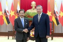 Le secrétaire général du Parti communiste du Vietnam, To Lam, (droite) et le Sultan de Brunei, Haji Hassanal Bolkiah, en visite d'État au Vietnam. Photo : NDEL.