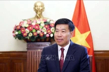 Le vice-ministre vietnamien des Affaires étrangères, Nguyen Manh Cuong. Photo : VNA.