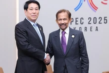 Le président vietnamien Luong Cuong et le sultan de Brunei, Hassanal Bolkiah, lors du sommet APEC 2025 en République de Corée. Photo : VNA.