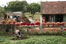 Le village artisanal de l’encens à Son Nam en pleine effervescence pour le Tet