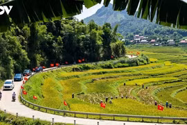 Pu Luong, entre rizières dorées et villages paisibles