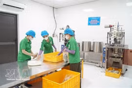De nombreuses entreprises ont investi dans la science, la technologie et l'innovation afin de développer des modèles de production propres et sûrs. Photo : VNA. 