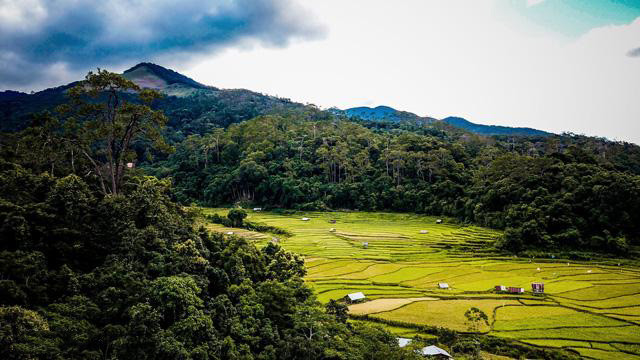 Mang Den : Deuxième Dà Lat du Tây Nguyên ảnh 3 Mang Den : Deuxième Dà Lat du Tây Nguyên ảnh 3
