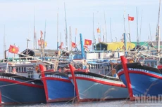 Carénage des bateaux avant le Têt, l’espoir d’une nouvelle saison