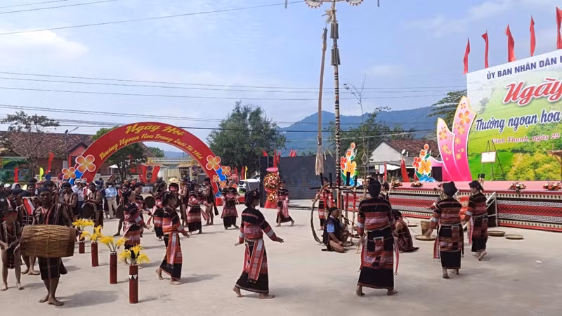 La cérémonie du nouvel épi de riz de l’ethnie Bana Kriêm. Photo : VOV.