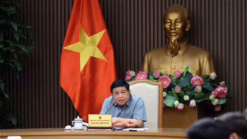 Le vice-Premier ministre Nguyên Chi Dung s'exprime lors de la réunion. Photo : VNA.