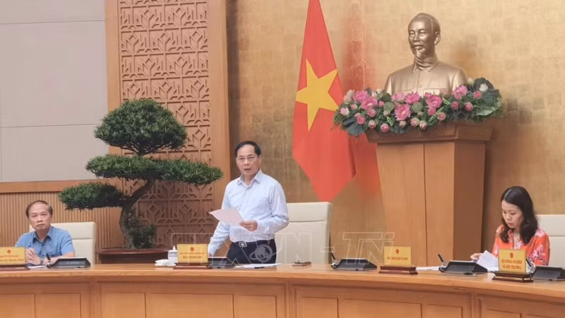 Le vice-Premier ministre et ministre des Affaires étrangères Bui Thanh Son prend la parole. Photo : VNA.
