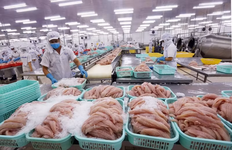 Transformation des produits aquatiques pour l'exportation. Photo : Congthuong.