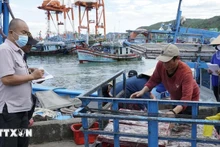 Les forces compétentes supervisent l'acheminement des bateaux au port. Photo : VNA.