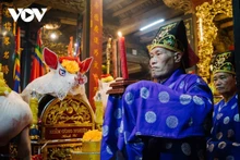 Hanoï : le porc sacrificiel au cœur d’un rituel séculaire à La Phu