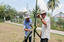 Huynh Công Ly (chemise blanche) et sa famille perpétuent la tradition d’ériger le mât rituel depuis plus de 50 ans. Photo : Thanhnien.