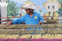 À Tay Ninh, le Têt s’anime au rythme des villages de métiers