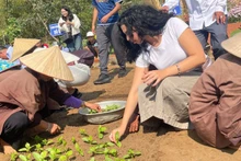 Des visiteurs internationaux participent à la plantation de légumes lors de la Fête du Cau Bong Tra Que, à Da Nang. 