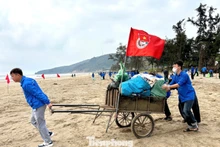 La jeunesse de Nghe An assainit les plages et l’environnement