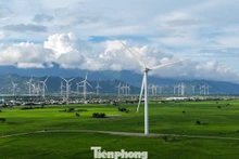 La beauté du crépuscule sur les champs d’éoliennes