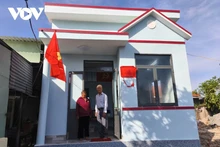 La remise en état des zones inondées de Dak Lak