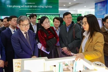 Des délégués visitent le stand de HanoTEX. Photo: VNA.