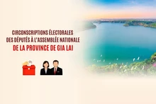 [Infographie] Circonscriptions électorales des députés à l’Assemblée nationale dans la province de Gia Lai