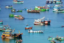 Les exportateurs vietnamiens de produits aquatiques aux côtés du gouvernement pour préserver leur réputation et leurs marchés internationaux. Photo : NDEL.