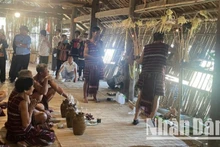 La fête de Sayangva, un rituel dédié au dieu du riz, célébrée dans la ville de Long Khanh, province de Dong Nai. Photo : NDEL.