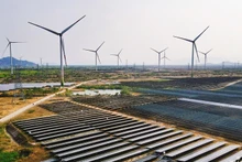 Installation éolienne et solaire illustrant les efforts du Vietnam en matière de transition énergétique et de croissance verte. Photo : Vietnamnet.