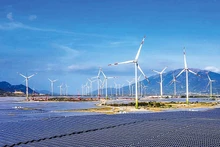 Les relations de coopération entre le Vietnam et Singapour ne cessent de se développer. Sur la photo : projet d’énergie éolienne et solaire au Vietnam du groupe Sembcorp (Singapour). Photo : Le Toan.