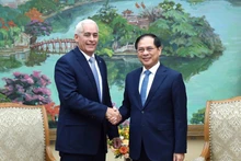 Le vice-Premier ministre et ministre des Affaires étrangères Bui Thanh Son (droite) reçoit à Hanoï Gerardo Peñalver Portal, premier vice-ministre des Affaires étrangères de Cuba. Photo : VNA.