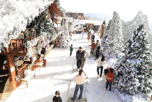 Da Lat se pare des couleurs chatoyantes de Noël en cette fin d'année. Photo : Baodautu.