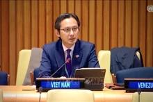 L’ambassadeur Do Hung Viet, chef de la Mission permanente du Vietnam auprès de l’ONU. Photo : VNA.