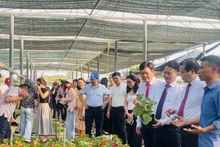 L’agritourisme, une diversification florissante pour les agriculteurs de Tich Giang